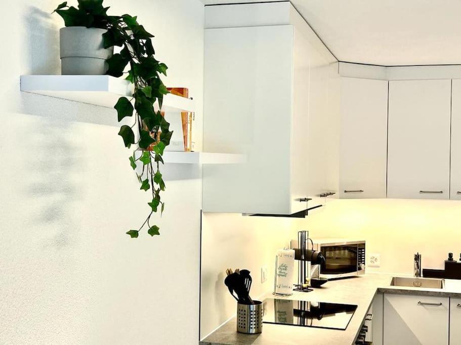 Апартаменты Casa Ambizione Дитикон Экстерьер фото